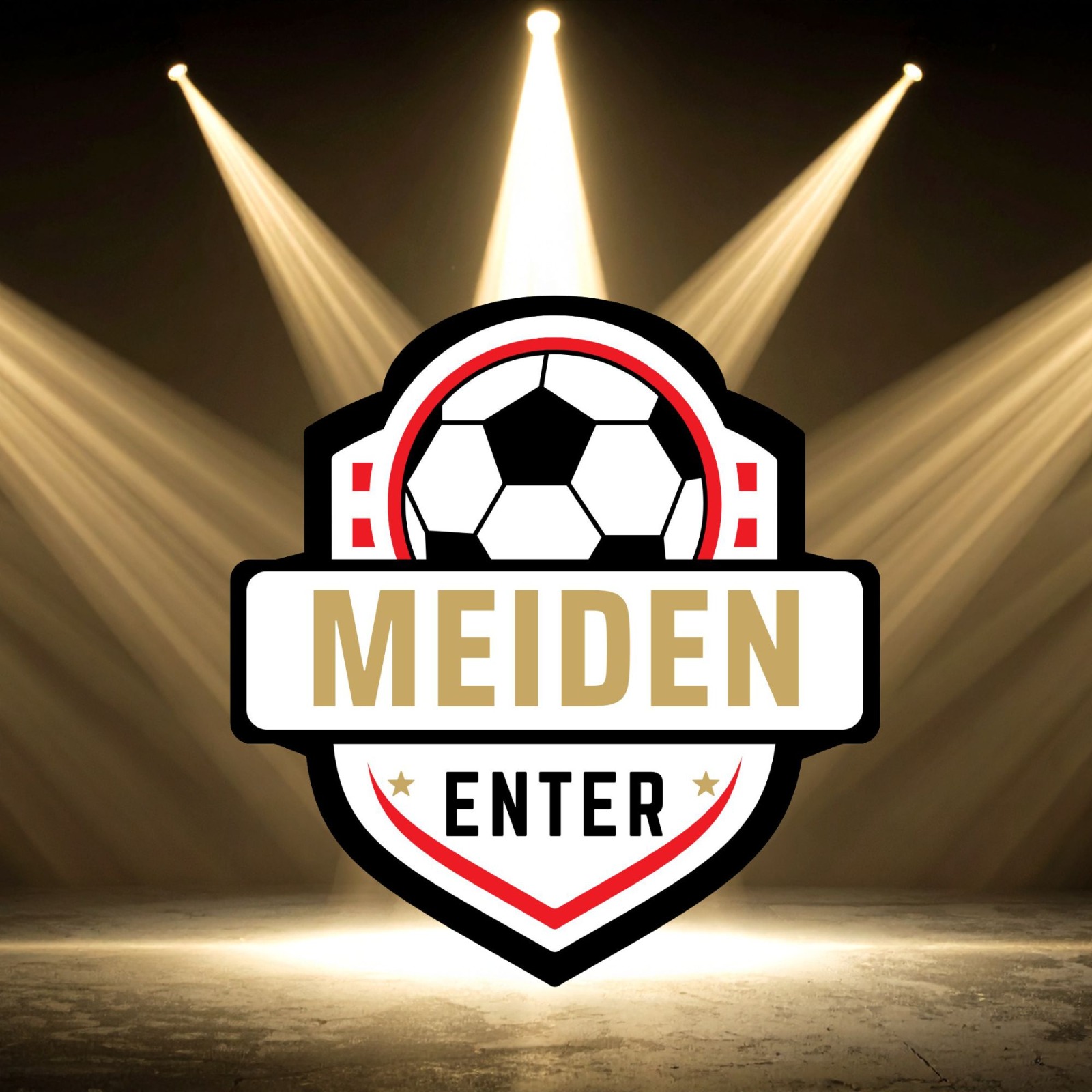 Nieuw logo Meiden Enter